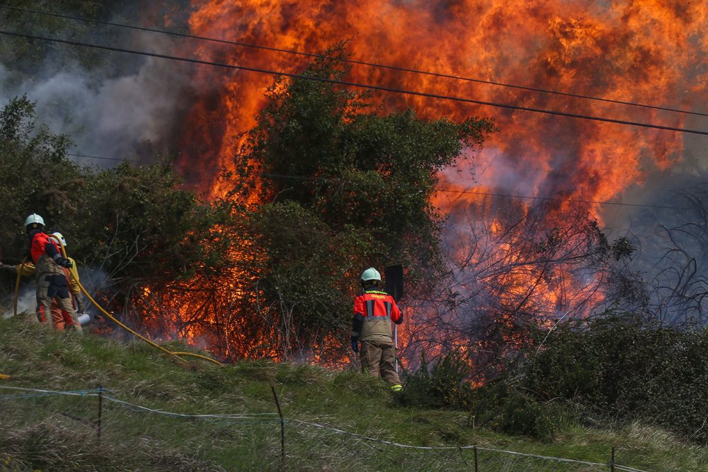 Trabajos de extinción del fuego en el Naranco