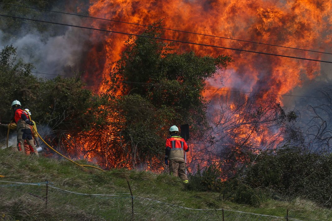 Trabajos de extinción del fuego en el Naranco
