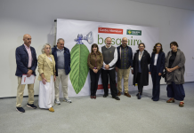 El Niemeyer propone 24 “baños de bosque” en 31 concejos asturianos